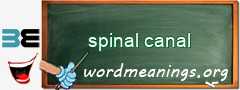 WordMeaning blackboard for spinal canal